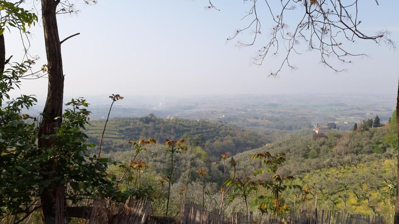 Il Fienile Di Tigliano Villa Vinci Luaran gambar